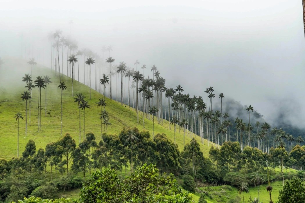 coorg travel